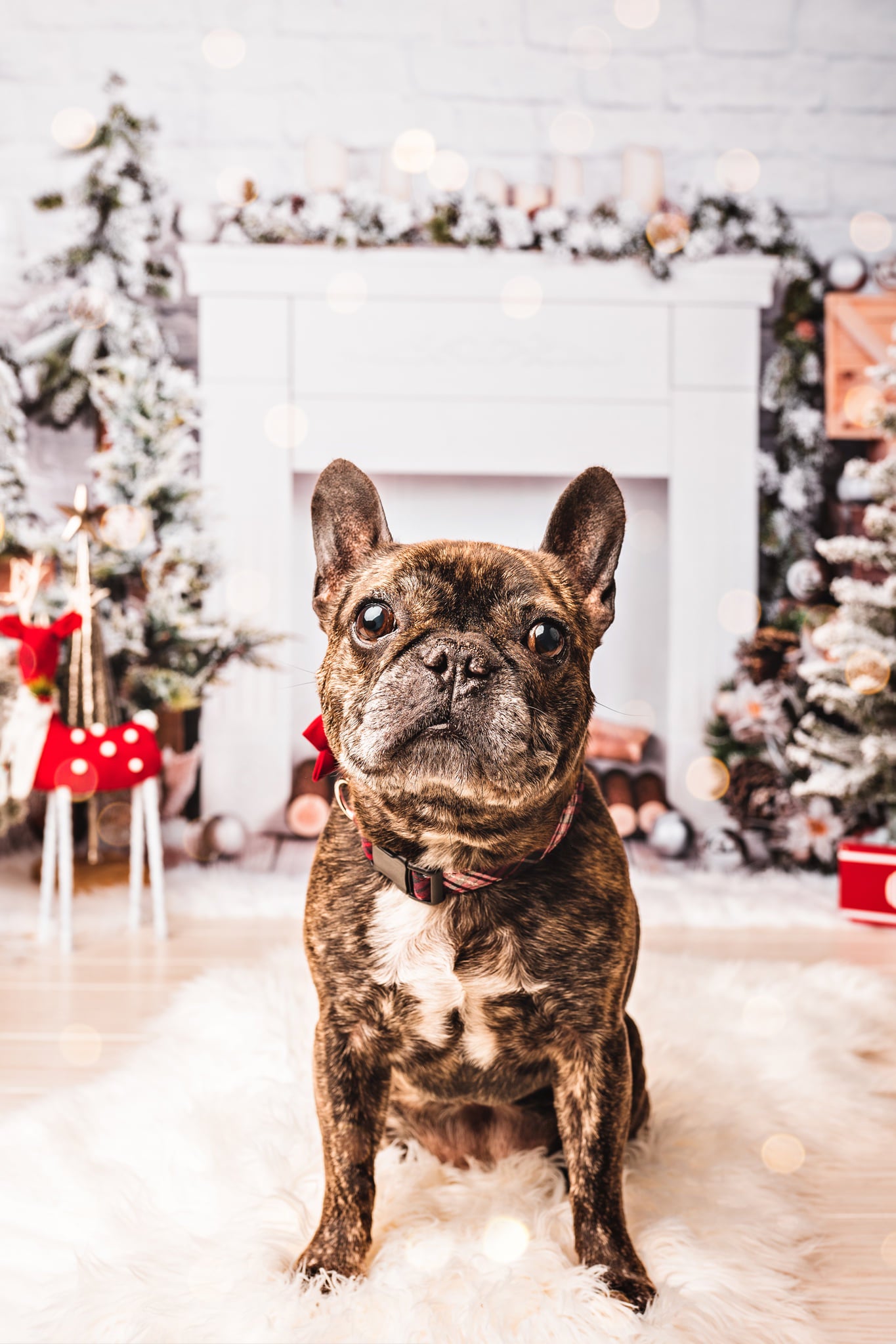 Kate Cheminée Mur de briques Noël Blanc Toile de fond conçue par Emetselch - Kate Backdrop FR