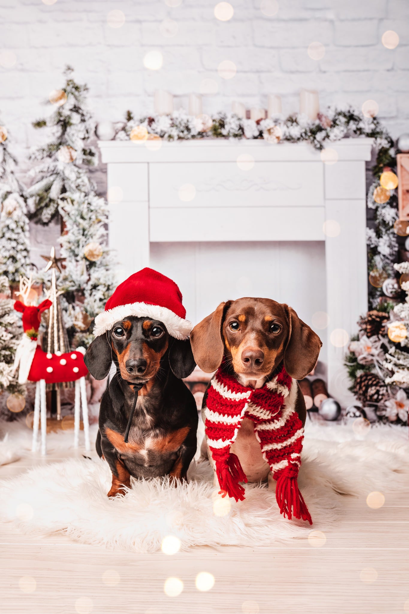 Kate Cheminée Mur de briques Noël Blanc Toile de fond conçue par Emetselch - Kate Backdrop FR