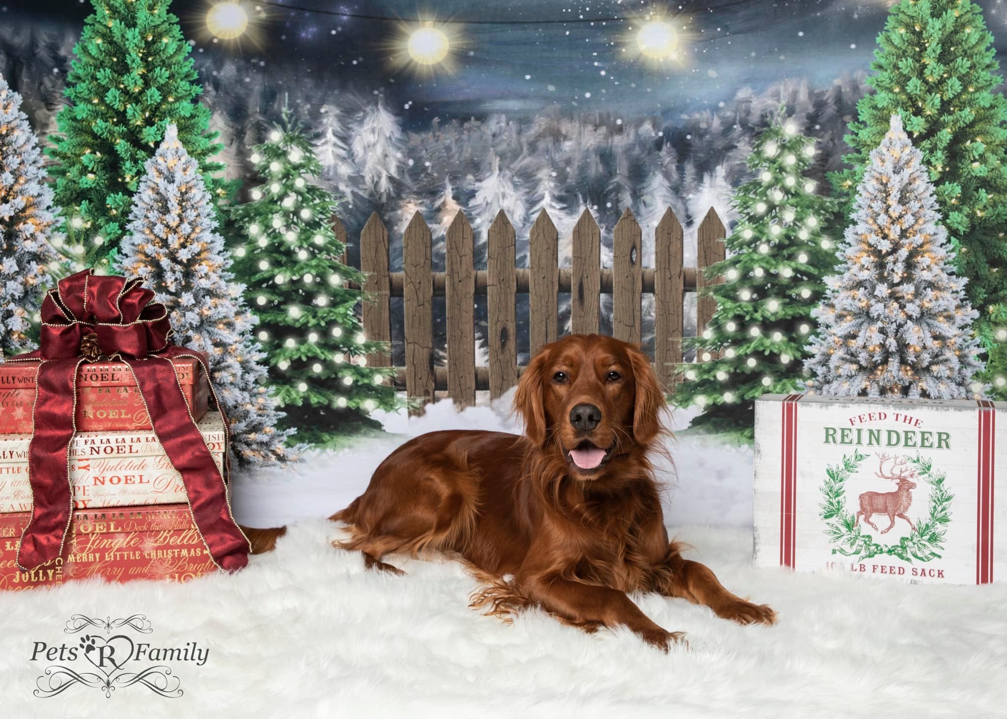 Kate Ferme de pins Nuit Noël Lune Toile de fond conçue par Jerry_Sina - Kate Backdrop FR