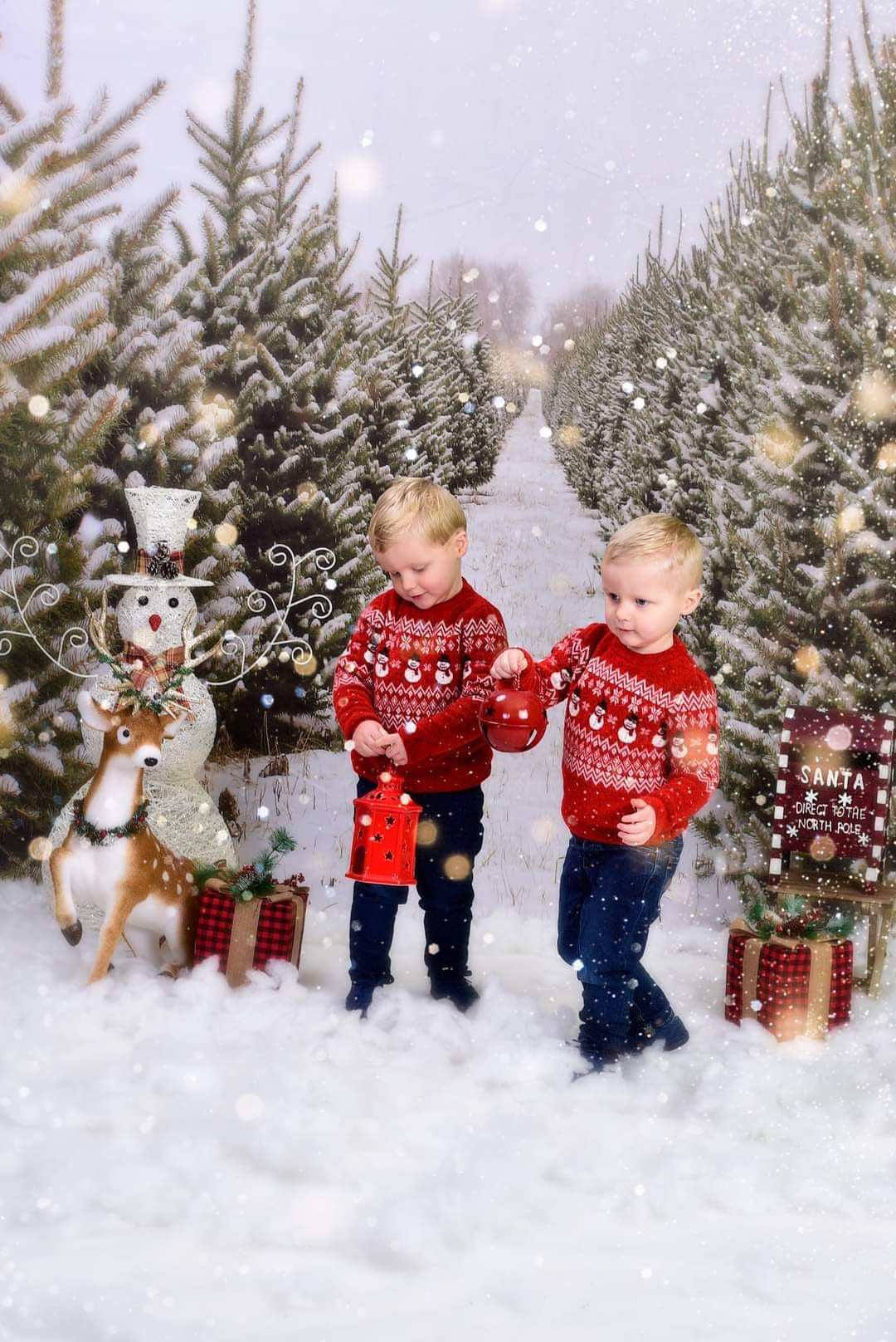 Kate Chemin Ferme Sapin de Noël Neige Toile de fond pour la photographie - Kate Backdrop FR