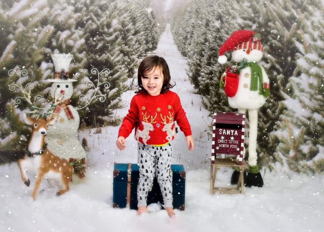 Kate Chemin Ferme Sapin de Noël Neige Toile de fond pour la photographie - Kate Backdrop FR