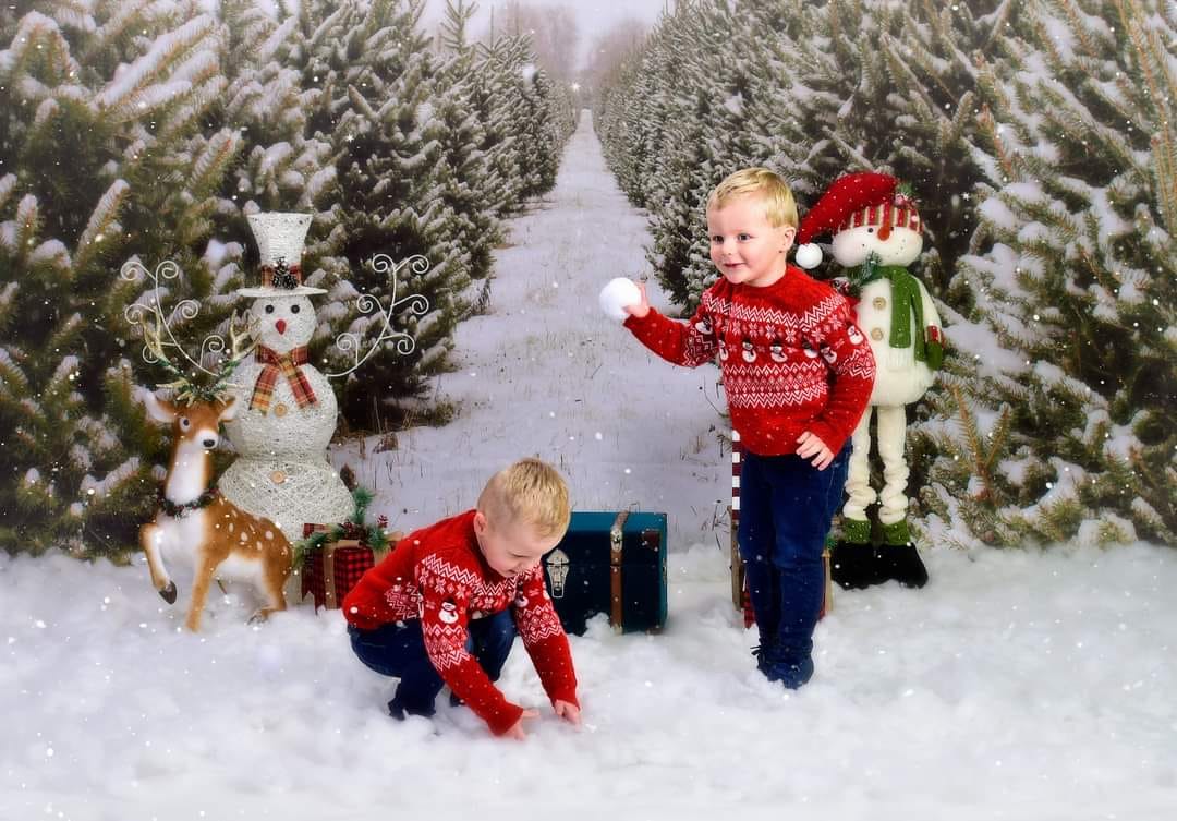 Kate Chemin Ferme Sapin de Noël Neige Toile de fond pour la photographie - Kate Backdrop FR