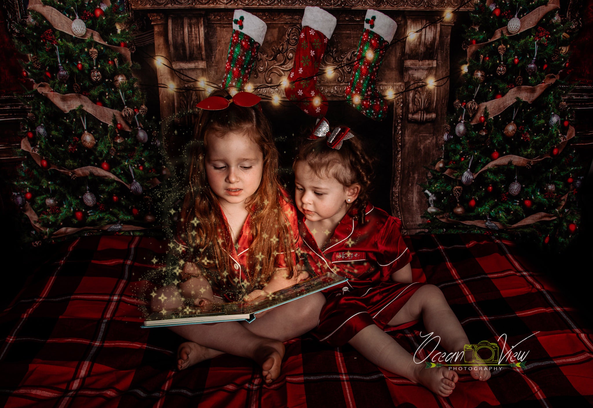 Kate Cheminée Noël Fenêtre Lustre Toile de fond conçue par Emetselch - Kate Backdrop FR