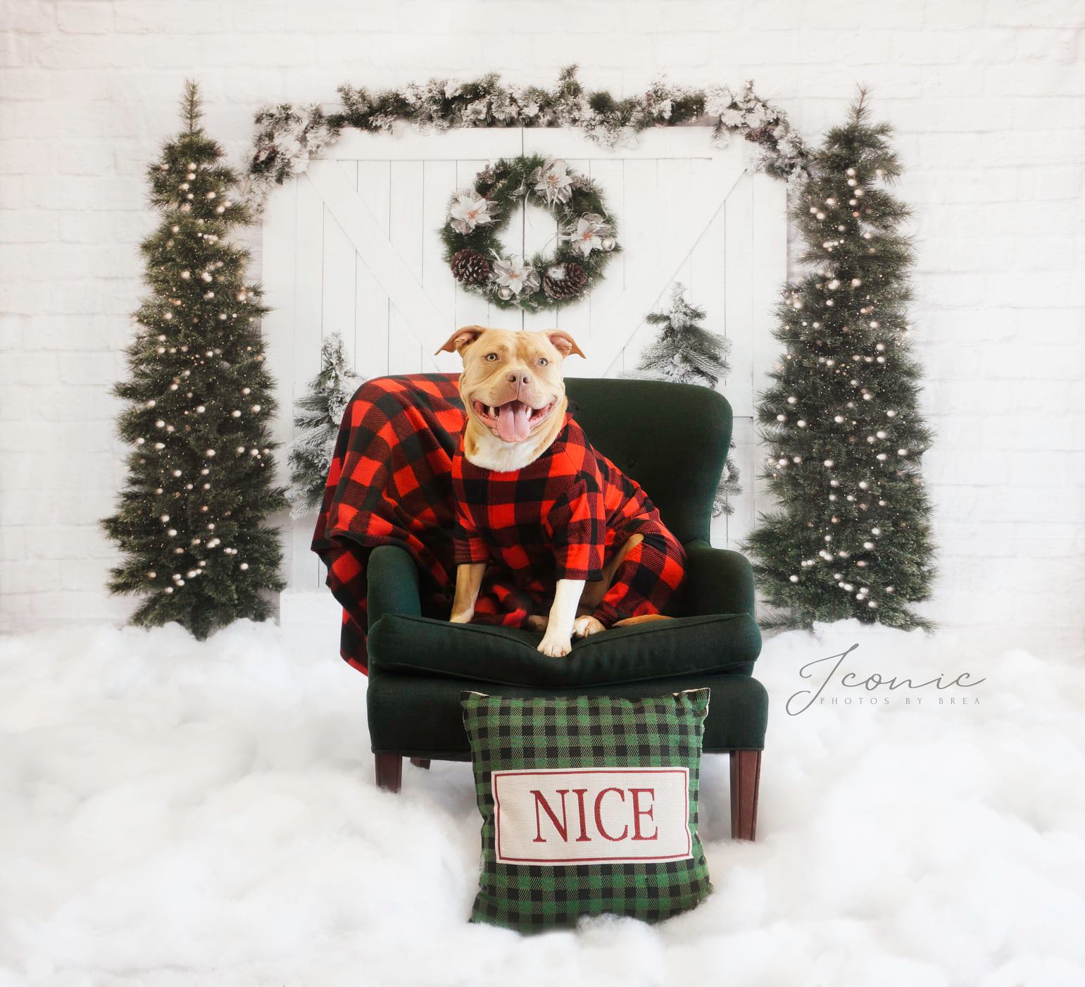 Kate Porte Grange Arbre de Noël Toile de fond conçue par Emetselch - Kate Backdrop FR