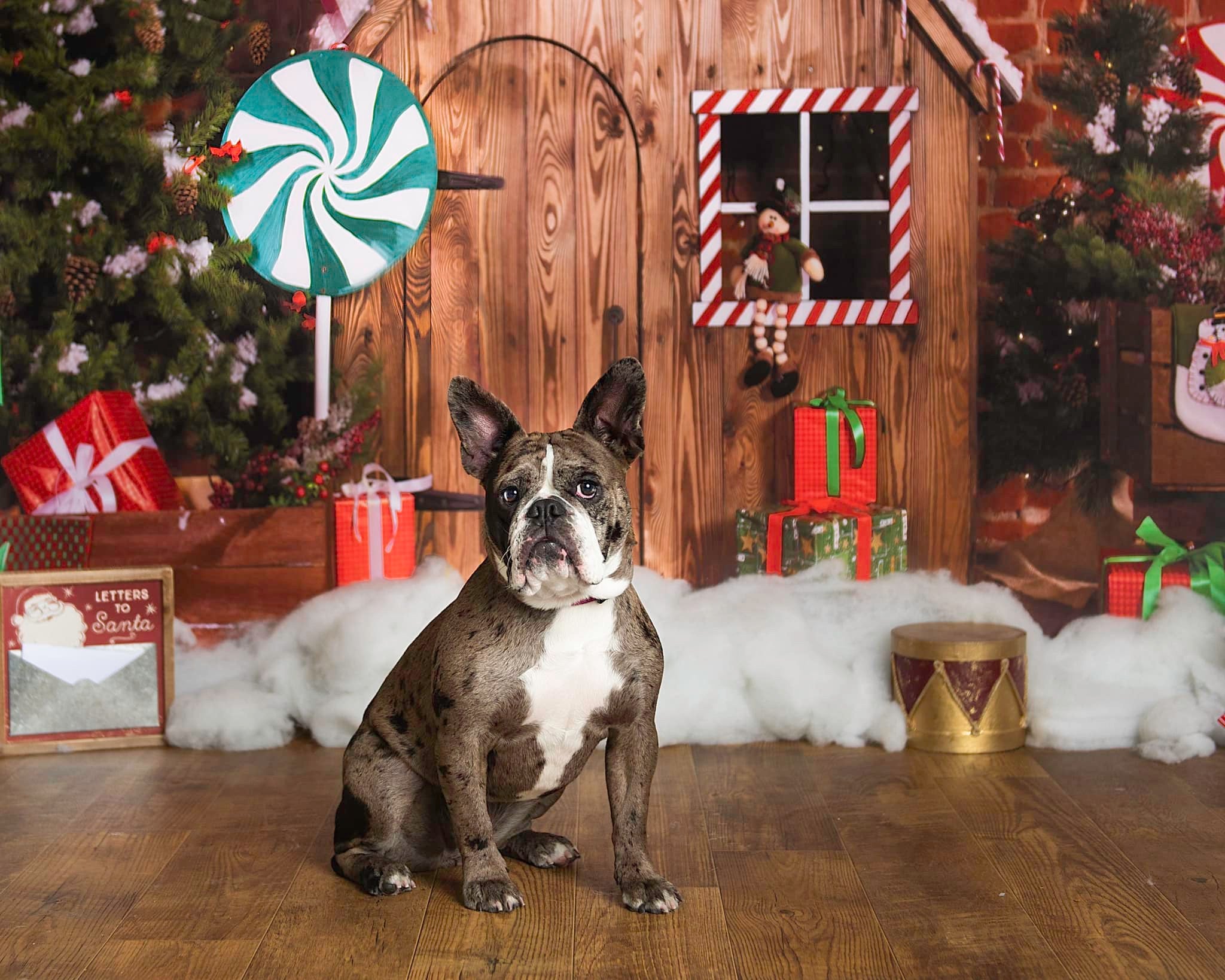 Kate Décorations Maison de pain d'épice Bois Noël pour la photographie - Kate Backdrop FR