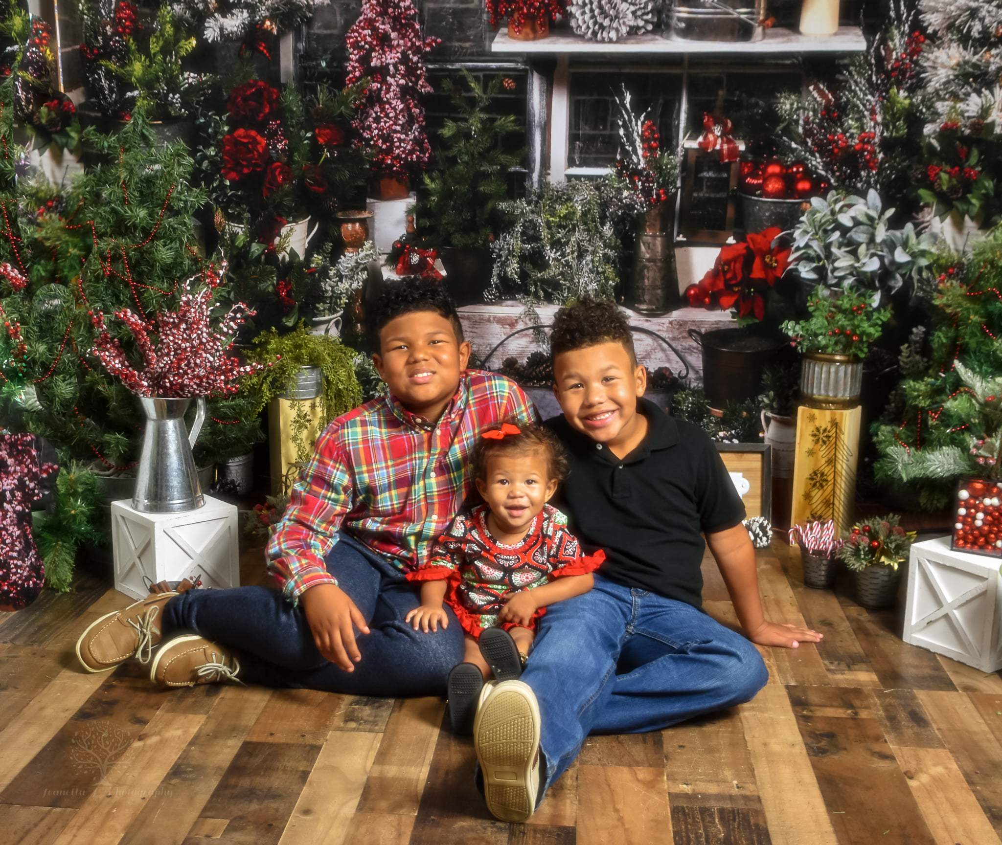 Kate Hiver Maison en Bois Arbre Noël Plantes Toile de fond conçue par Arica Kirby - Kate Backdrop FR