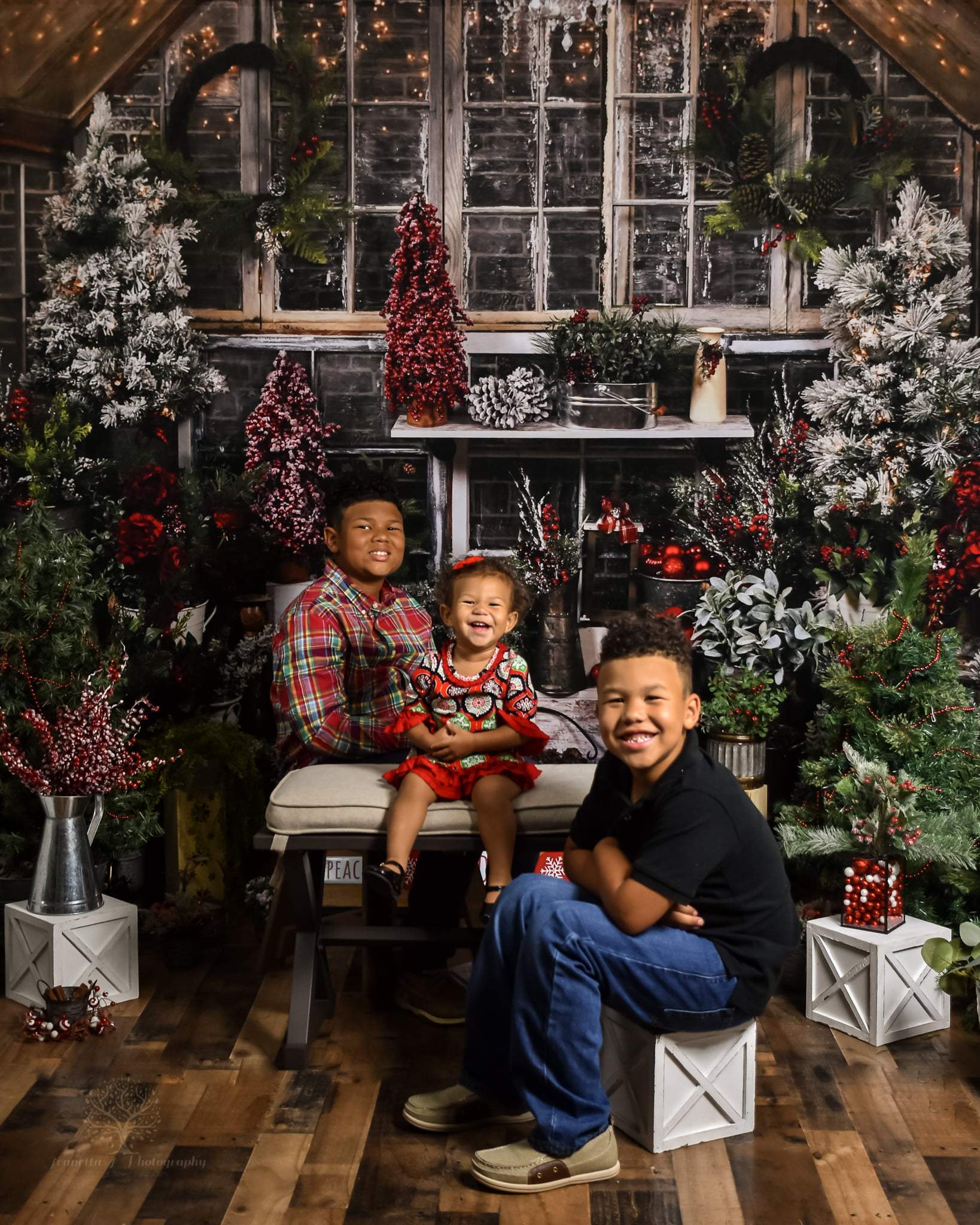 Kate Hiver Maison en Bois Arbre Noël Plantes Toile de fond conçue par Arica Kirby - Kate Backdrop FR