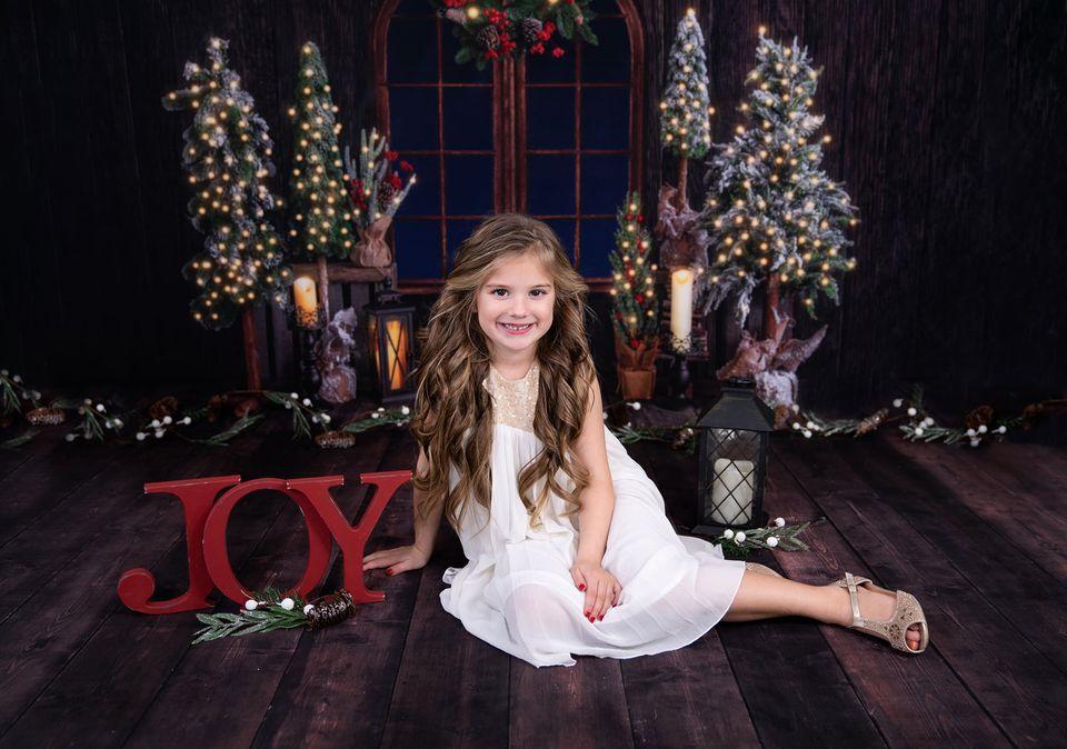 Kate Noël Fenêtre Arbres Mur en bois Toile de fond pour la photographie - Kate Backdrop FR