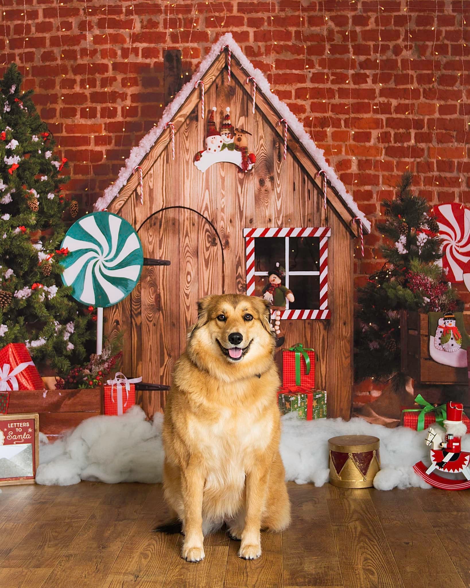 Kate Décorations Maison de pain d'épice Bois Noël pour la photographie - Kate Backdrop FR