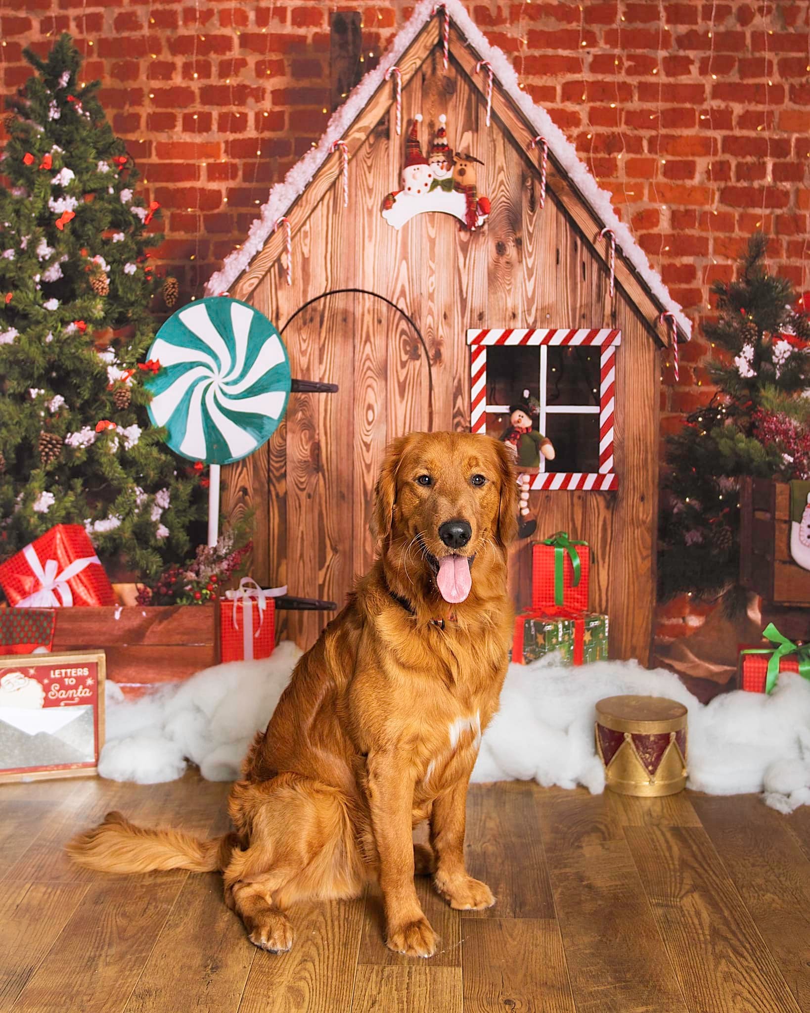 Kate Décorations Maison de pain d'épice Bois Noël pour la photographie - Kate Backdrop FR