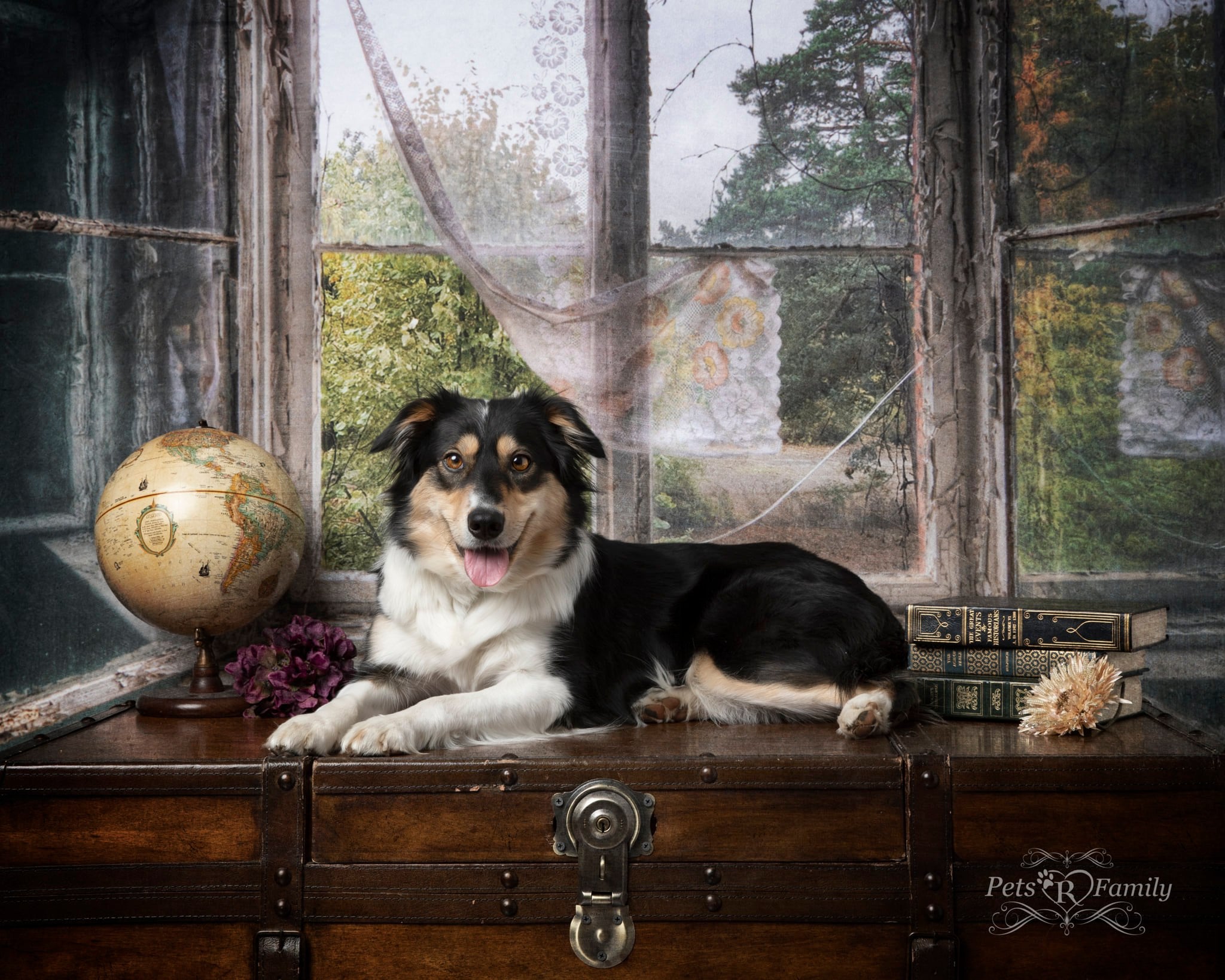 Kate Rétro Bâtiment Intérieur Gris Bleu Fenêtre Toile de fond pour la photographie - Kate Backdrop FR