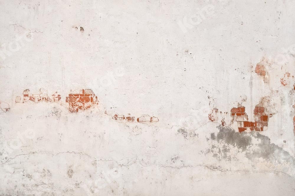 Kate toile de fond de mur de briques délabrées conçue par Kate image - Kate Backdrop FR