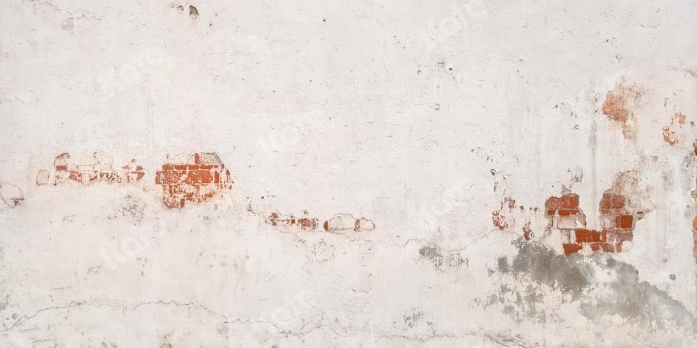 Kate toile de fond de mur de briques délabrées conçue par Kate image - Kate Backdrop FR