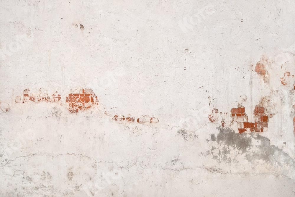 Kate toile de fond de mur de briques délabrées conçue par Kate image - Kate Backdrop FR