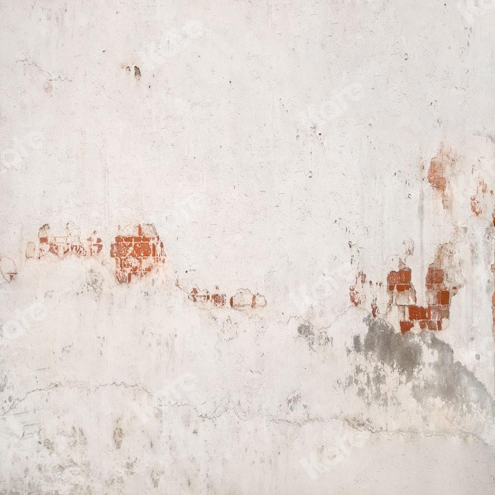 Kate toile de fond de mur de briques délabrées conçue par Kate image - Kate Backdrop FR