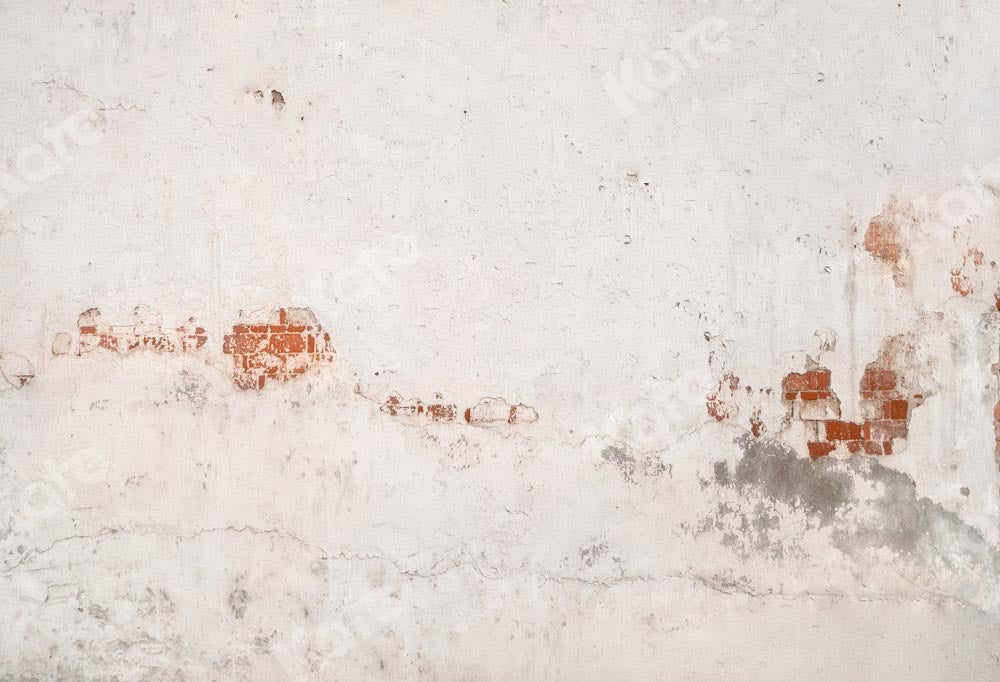 Kate toile de fond de mur de briques délabrées conçue par Kate image - Kate Backdrop FR