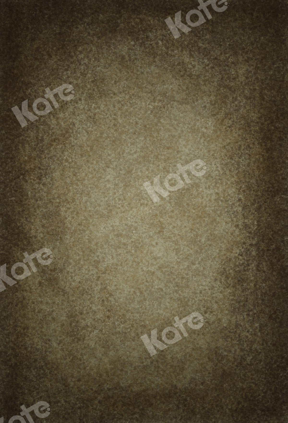 Kate toiles de fond beige marron fine art conçue par veronika gant - Kate Backdrop FR
