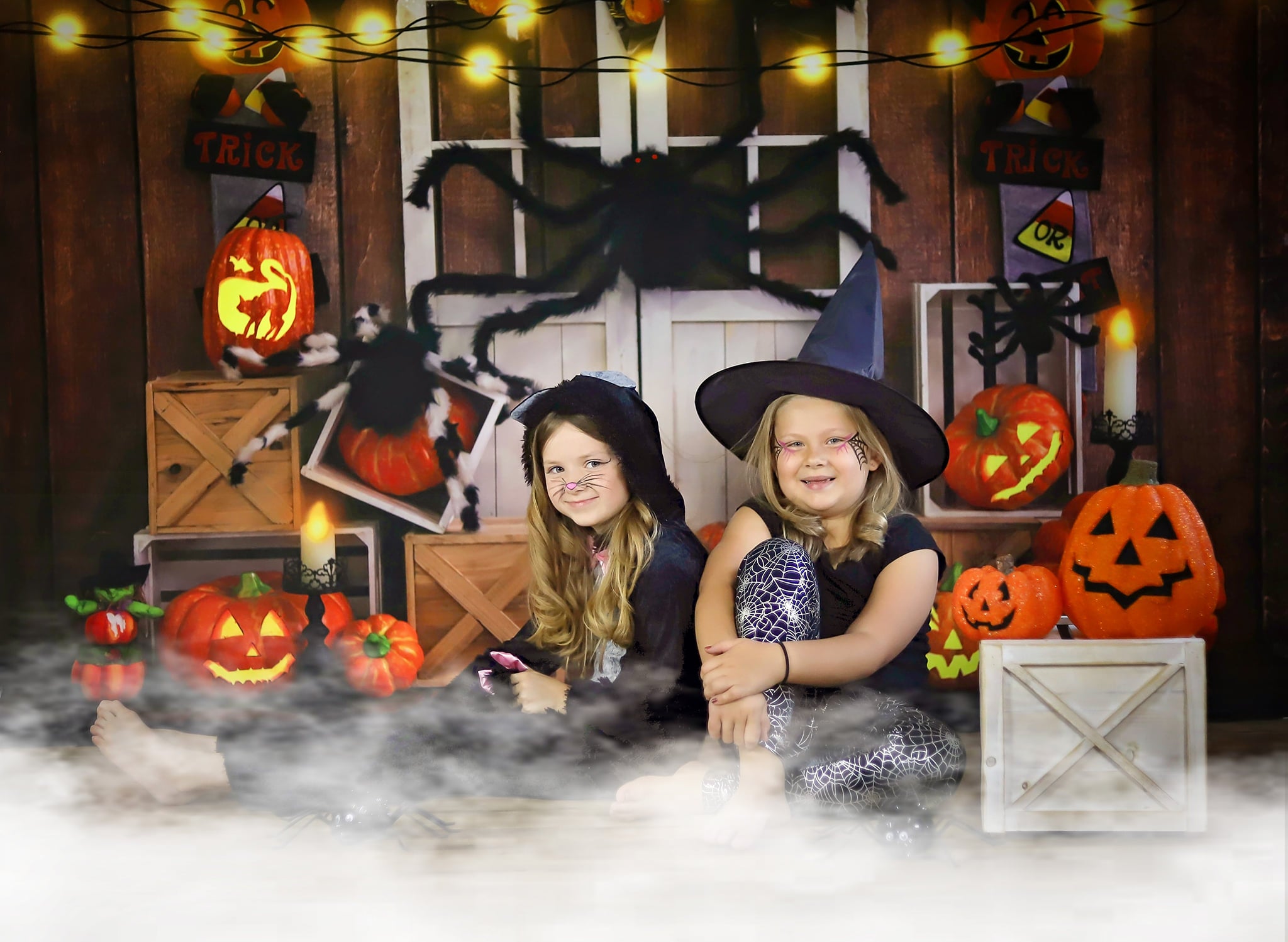 Kate Halloween Automne Citrouille Araignée Toile de fond conçu par Emetselch - Kate Backdrop FR