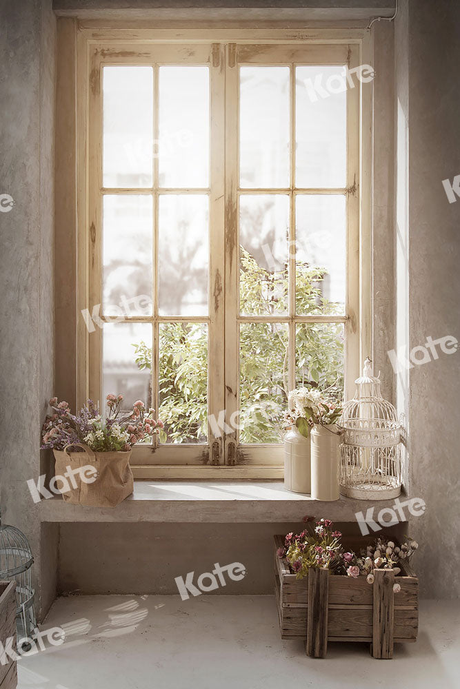 Kate Plante Lumière du soleil Fenêtre Intérieur Toile de fond conçue par Emetselch - Kate Backdrop FR