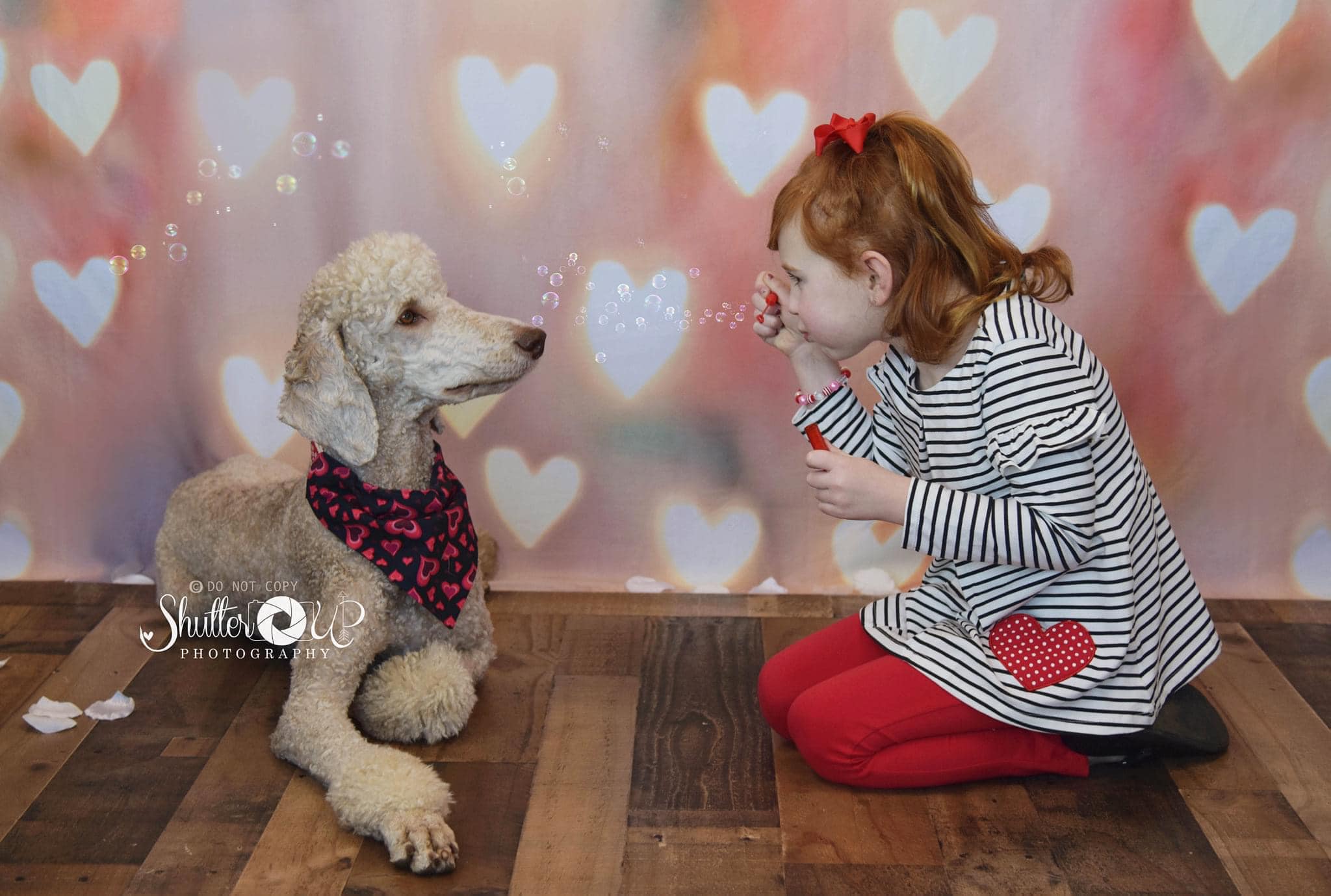 Kate Décors Bokeh Amour Jaune Saint-Valentin Toile de fond pour la photographie - Kate Backdrop FR