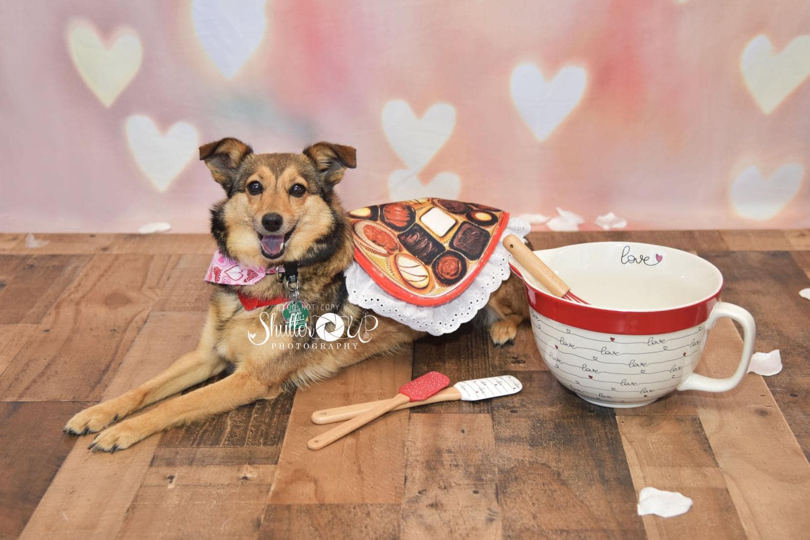 Kate Décors Bokeh Amour Jaune Saint-Valentin Toile de fond pour la photographie - Kate Backdrop FR
