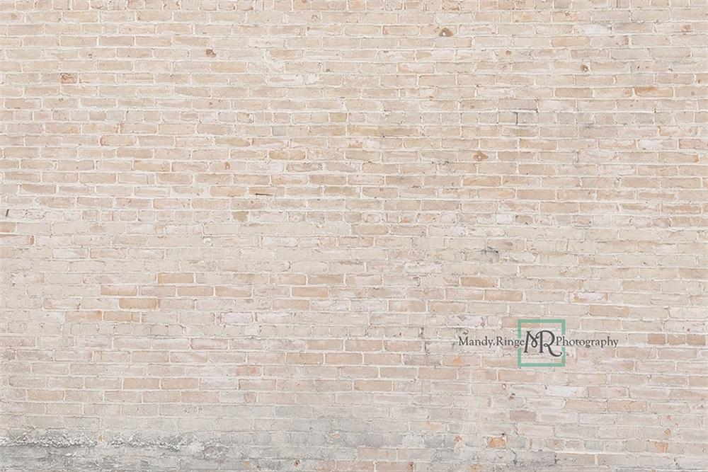 Kate Mur de briques Ferme Crème légère Toile de fond conçue par Mandy Ringe - Kate Backdrop FR