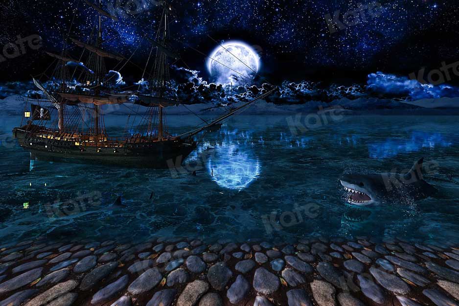 Kate Magique Lune Nuit Toile de Fond Requin Bateau Pierre pour la photographie - Kate Backdrop FR