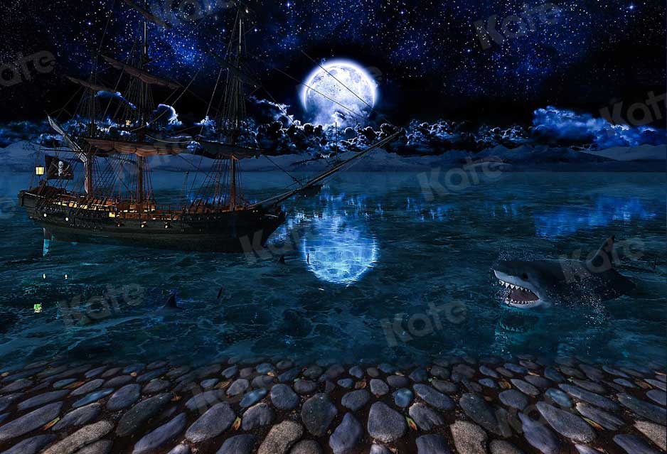 Kate Magique Lune Nuit Toile de Fond Requin Bateau Pierre pour la photographie - Kate Backdrop FR