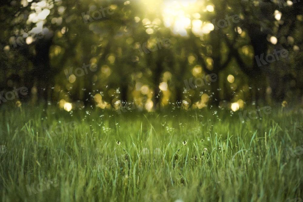 Kate Bokeh Herbe Vert Naturel Toile de fond pour la photographie - Kate Backdrop FR