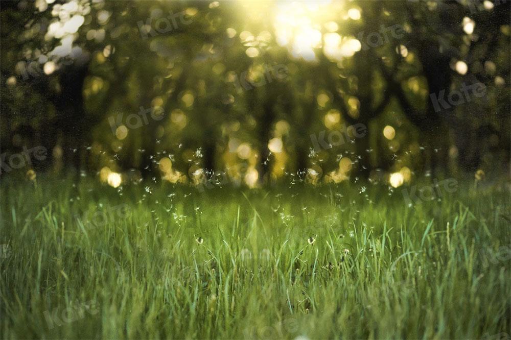 Kate Bokeh Herbe Vert Naturel Toile de fond pour la photographie - Kate Backdrop FR