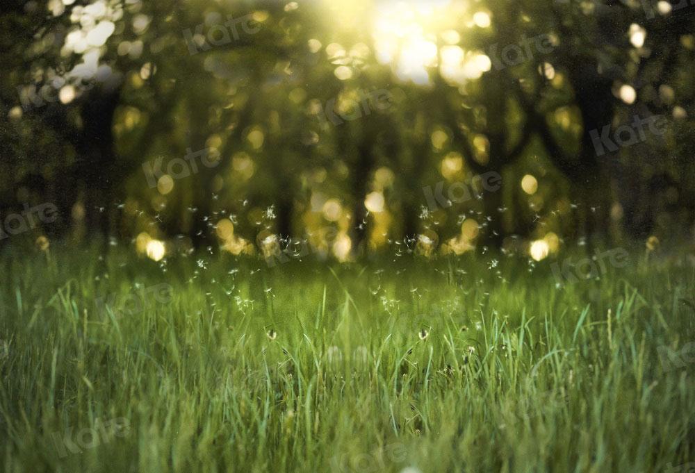 Kate Bokeh Herbe Vert Naturel Toile de fond pour la photographie - Kate Backdrop FR