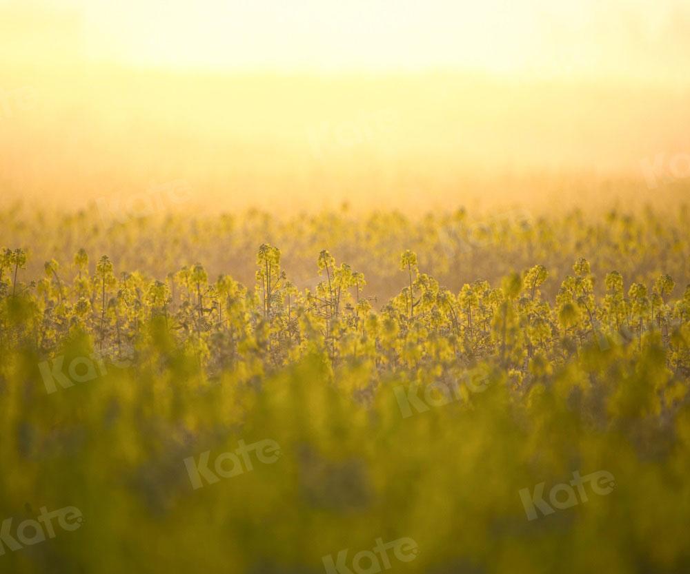Kate Nature Printemps Scène virtuelle Bokeh Toile de fond pour la photographie - Kate Backdrop FR