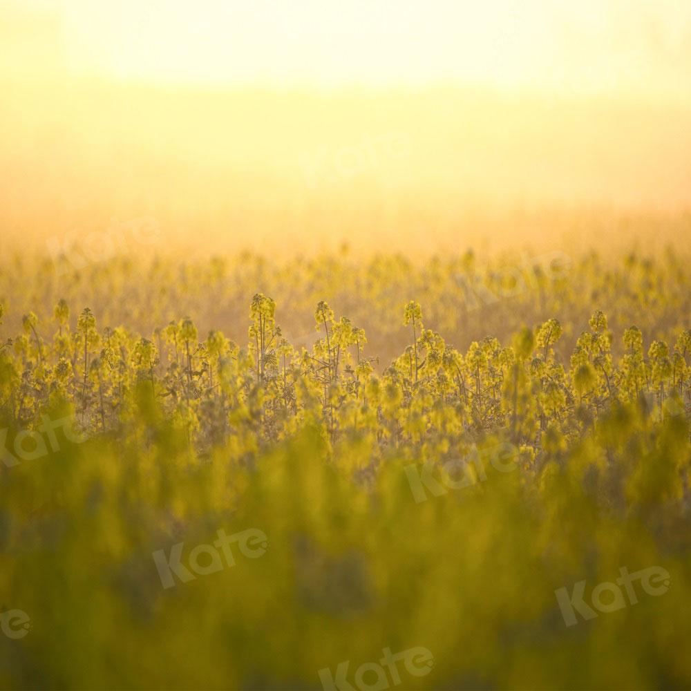 Kate Nature Printemps Scène virtuelle Bokeh Toile de fond pour la photographie - Kate Backdrop FR