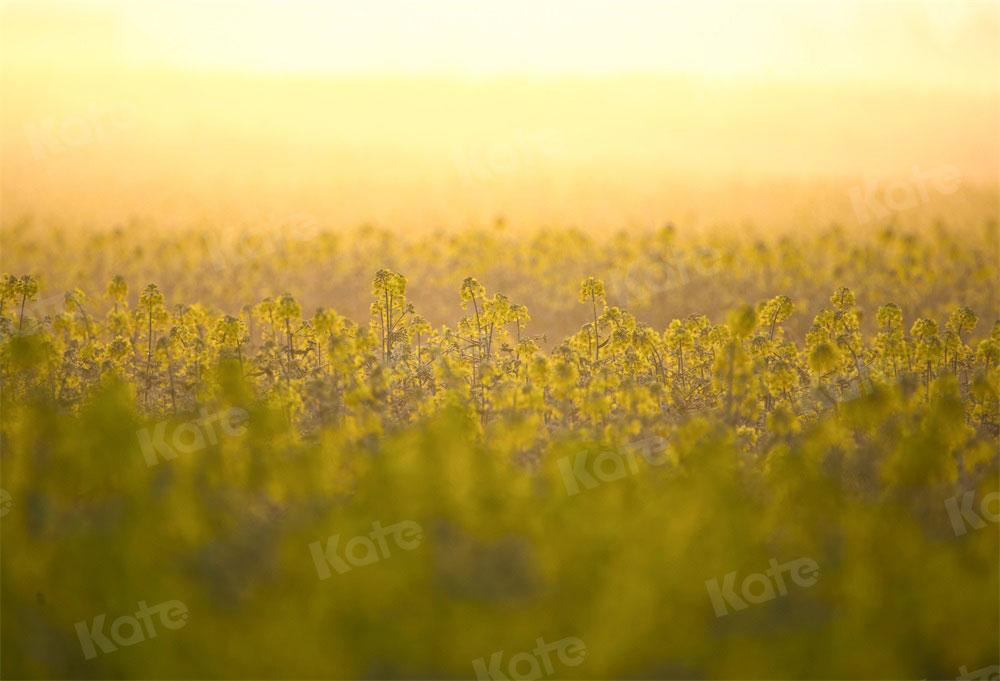 Kate Nature Printemps Scène virtuelle Bokeh Toile de fond pour la photographie - Kate Backdrop FR