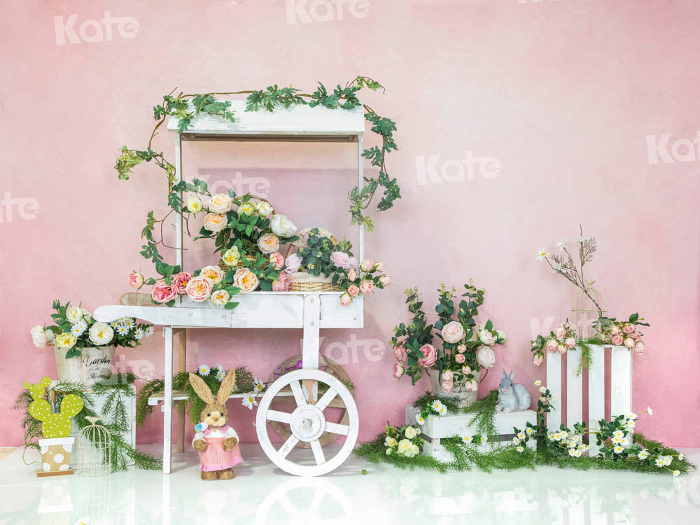 Kate Chariot Printemps Pâques Rose Lapin Toile de fond conçue par Emetselch - Kate Backdrop FR