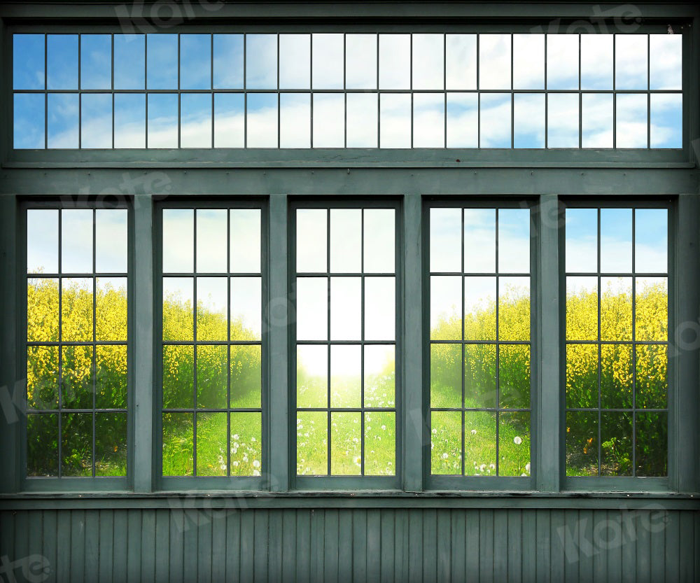 Kate Paysage Fenêtre Rétro Toile de fond pour la photographie - Kate Backdrop FR