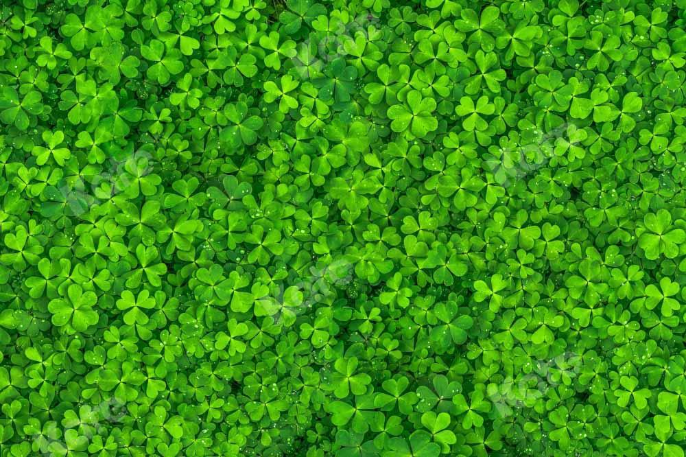 Kate Printemps Saint-Patrick Trèfle Pelouse Vert Toile de fond conçue par Kate Image - Kate Backdrop FR