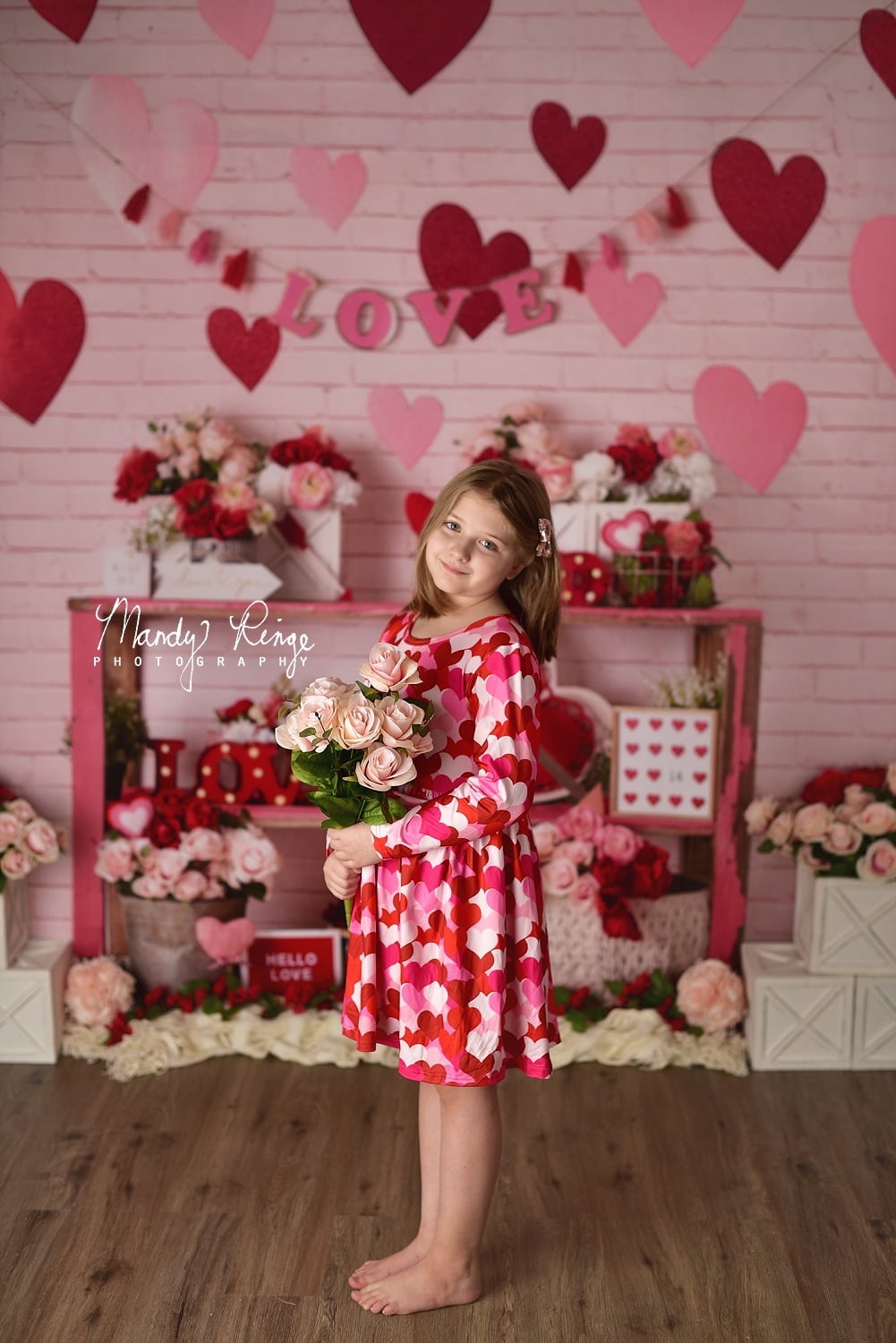 Kate Coeur Amour Saint-Valentin Rose Toile de fond conçu par Mandy Ringe - Kate Backdrop FR