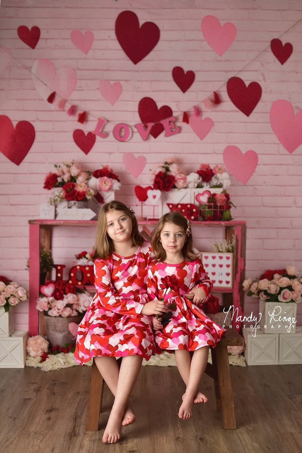 Kate Coeur Amour Saint-Valentin Rose Toile de fond conçu par Mandy Ringe - Kate Backdrop FR