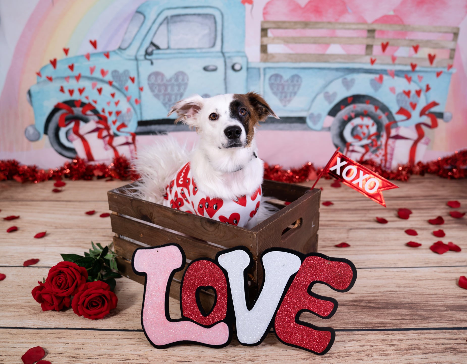 Toile de fond Kate La Saint-Valentin Camion d'amour conçue par GQ