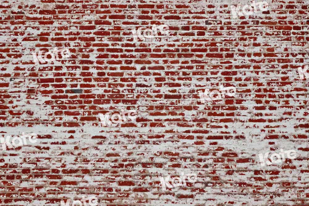 Kate Toile de fond de mur de briques délabrées conçue par Chain Photographie - Kate Backdrop FR