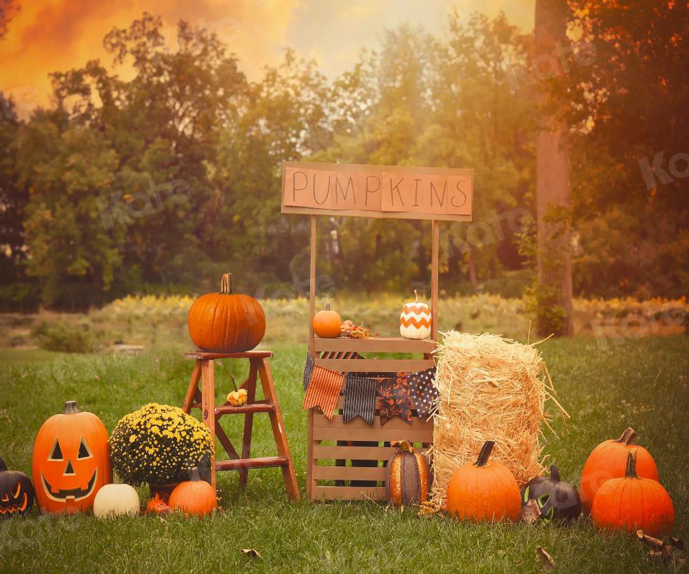 Kate Halloween Photography Backdrop For Party Pumpkins Grassland - Katebackdrop