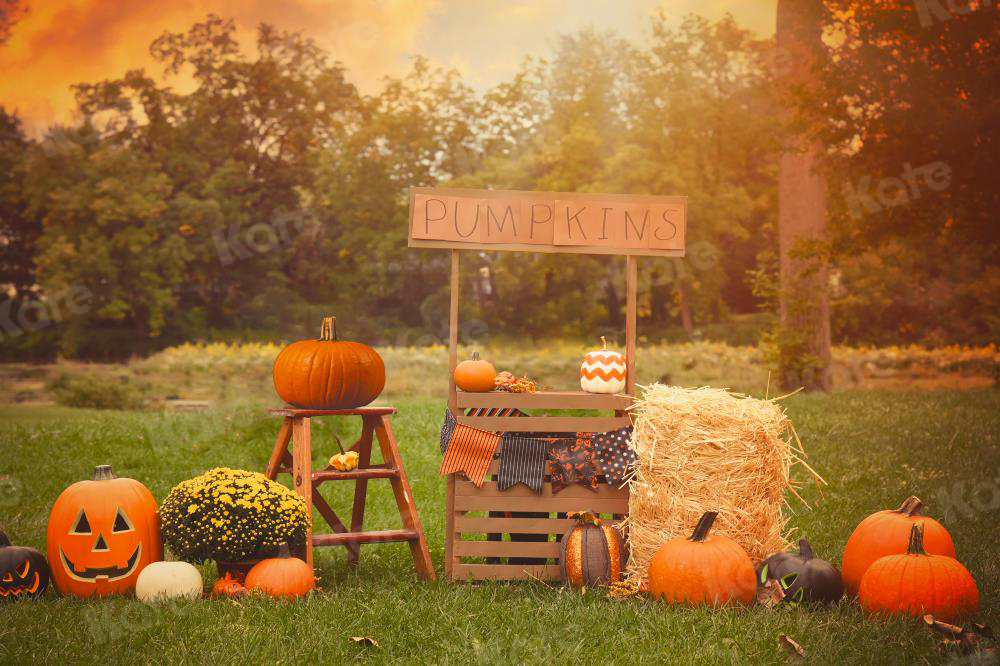 Kate Halloween Photography Backdrop For Party Pumpkins Grassland - Katebackdrop