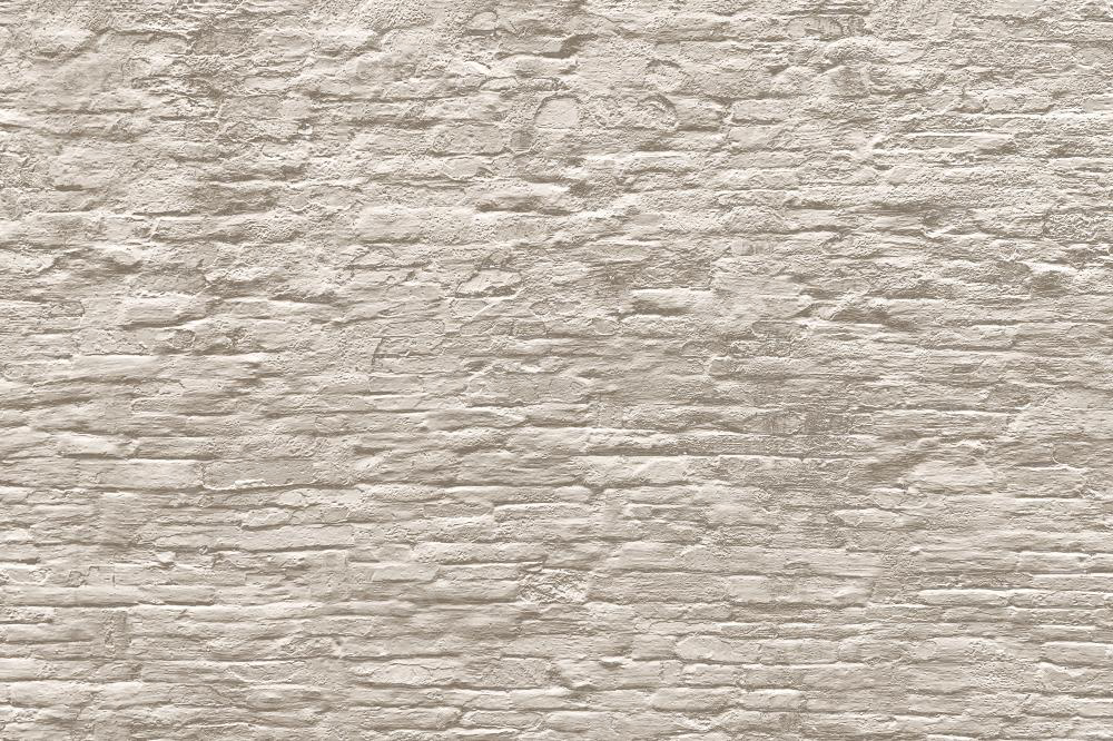 Kate vieille toile de fond de mur de briques marron clair conçue par Jia Chan Photographie - Kate Backdrop FR