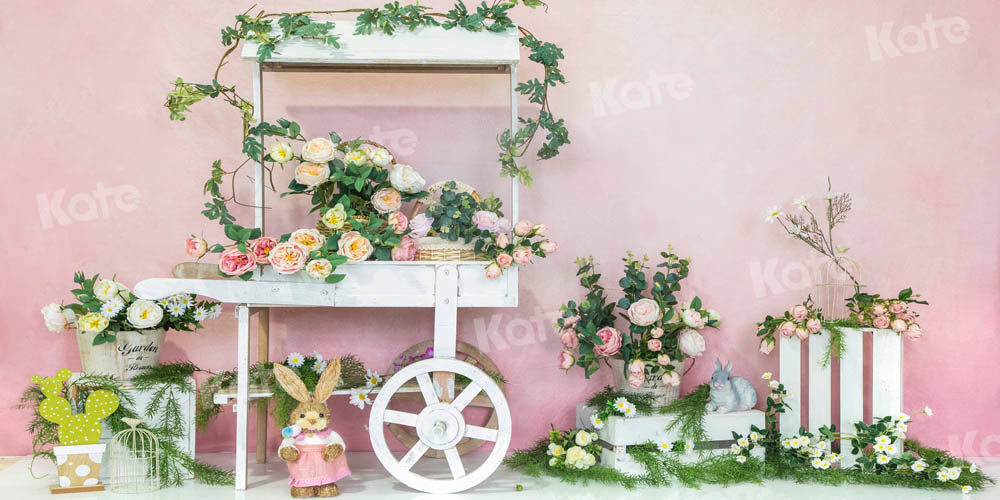 Kate Chariot Printemps Pâques Rose Lapin Toile de fond conçue par Emetselch - Kate Backdrop FR