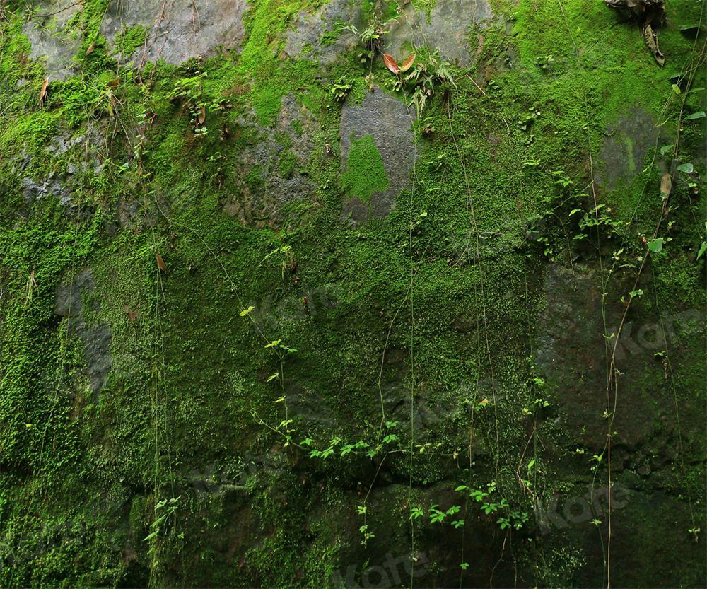 Kate feuilles de plantes de toile de fond de mousse verte en pierre pour la photographie - Kate Backdrop FR