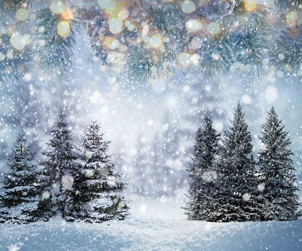 Kate Flocon de neige Forêt Hiver Arbres Toile de fond pour la photographie - Kate Backdrop FR