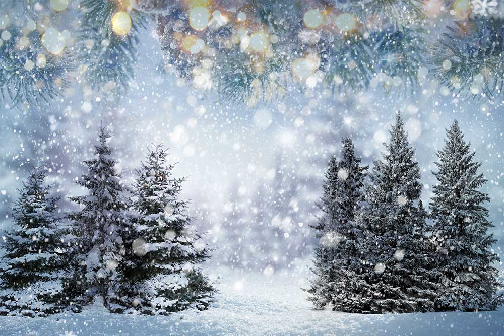 Kate Flocon de neige Forêt Hiver Arbres Toile de fond pour la photographie - Kate Backdrop FR
