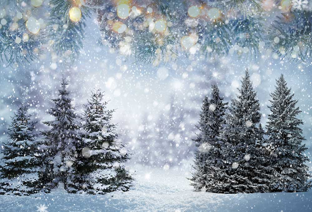 Kate Flocon de neige Forêt Hiver Arbres Toile de fond pour la photographie - Kate Backdrop FR