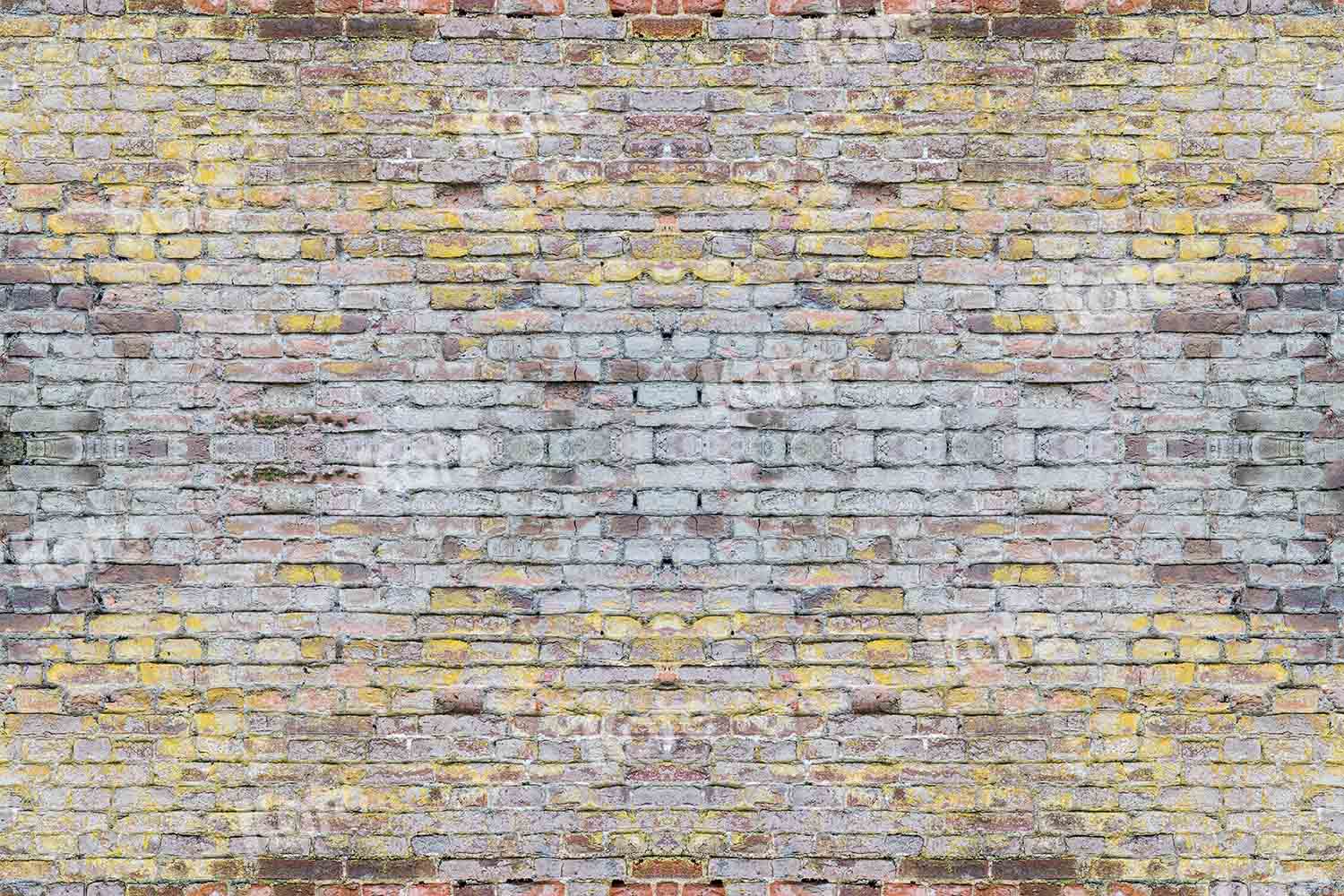 Kate fond de mur de briques anciennes rétro pour la photographie conçu par Chain Photographie - Kate Backdrop FR